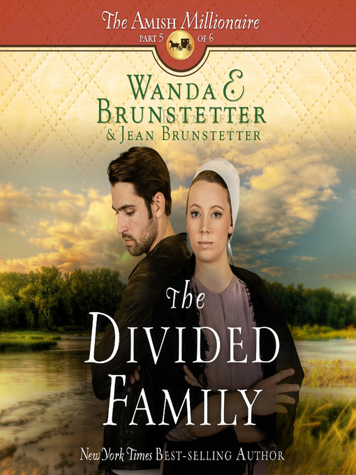 Title details for The Divided Family by Wanda E Brunstetter - Wait list